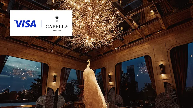 สเตลลา (Stella)